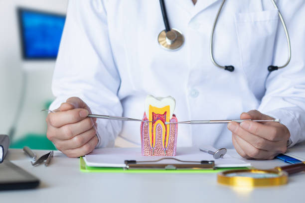Best Pediatric Emergency Dentist in North Canton, OH